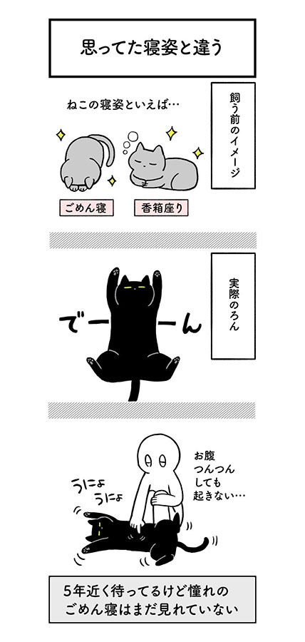 漫画 初めて飼った猫に 思ってたのと違う 絵日記が癒やし マグミクス