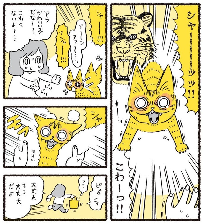 漫画 威嚇が怖い子猫をキズだらけになりながら保護 やって来た幸せにホロリ マグミクス