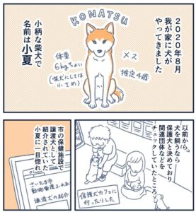 『【犬の漫画】紹介編』（百万さん提供）