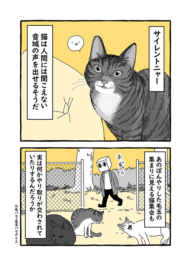 謎の 猫集会 野良猫たちの会話を盗み聞きできたら ちょっと怖っ マグミクス