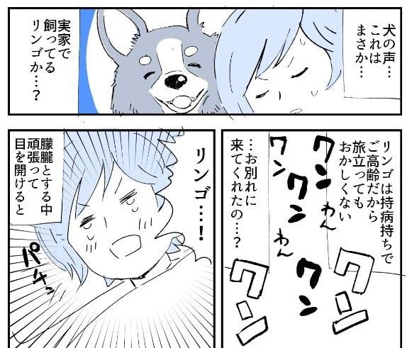 漫画 寝ていると犬の鳴き声が 実家の犬がお別れに 目を開けてビックリ マグミクス