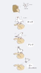 文鳥の 好き を意味するしぐさを指で真似してみたら 予想以上のかわいい反応が マグミクス