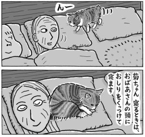 寝る前、おばあさんの頭におしりをくっつける菊ちゃん（湊文さん提供）