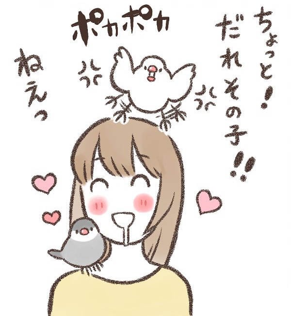 鳥 ペット セール 嫉妬