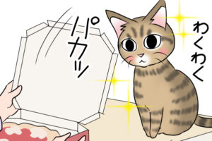 デリバリーの食べ物に期待をふくらませた猫について描いたマンガのカット（RYU AKATSUKIさん提供）