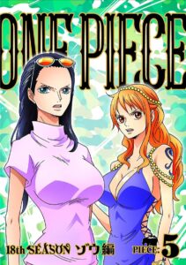 3人目(ビビを含むと4人目)の女性クルーになる? 画像は「ONE PIECE 18THシーズン ゾウ編 piece.5」DVD(エイベックス・ピクチャーズ)