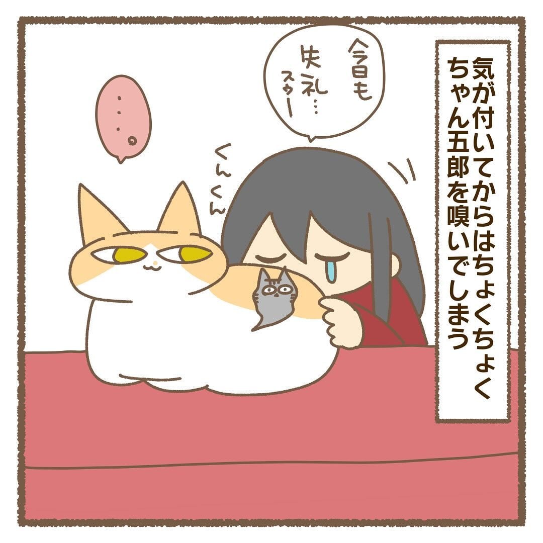 漫画】1年前、虹の橋を渡った子の「ニオイ」がする！ 猫の香りの不思議