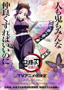『鬼滅の刃 柱稽古編』ティザービジュアル (C)吾峠呼世晴/集英社・アニプレックス・ufotable